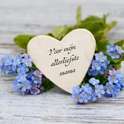 Omslag van Voor mijn allerliefste mama Janet