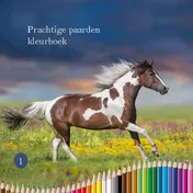 Omslag van Prachtige paarden kleurboek