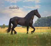 Omslag van Bedankt