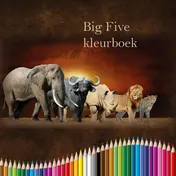 Omslag van Big Five kleurboek