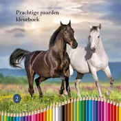 Omslag van Prachtige paarden kleurboek (2)