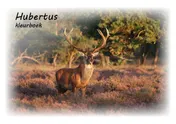 Omslag van Hubertus kleurboek