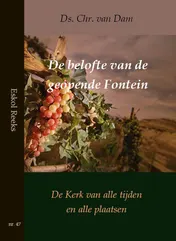 Omslag van De belofte van de geopende Fontein