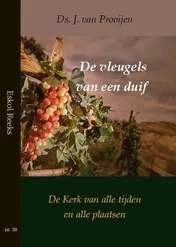 Omslag van De vleugels van een duif