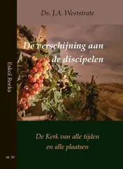 Omslag van De verschijning aan de discipelen