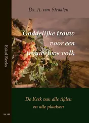 Omslag van Goddelijke trouw