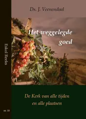Omslag van Het weggelegde goed
