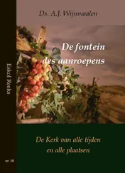 Omslag van De fontein des aanroepens