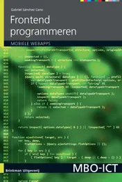 Omslag van Frontend programmeren