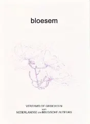 Omslag van Bloesem