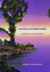 Omslag van Aan een lichtende hemel