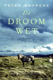 Omslag van De droomwet