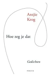 Omslag van Hoe zeg je dat