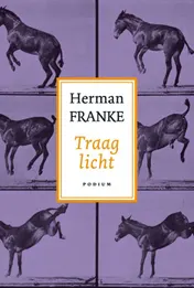 Omslag van Traag licht