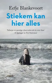 Omslag van Stiekem kan hier alles