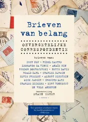 Omslag van Brieven van belang