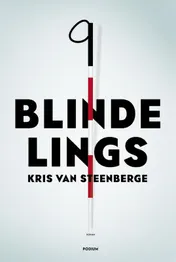 Omslag van Blindelings