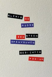 Omslag van Een steen openvouwen