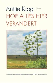 Omslag van Hoe alles hier verandert