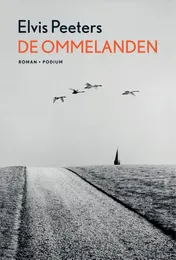 Omslag van De ommelanden