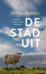Omslag van De stad uit