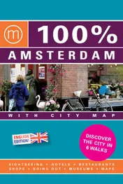Omslag van 100% Amsterdam