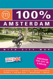 Omslag van 100 % Amsterdam