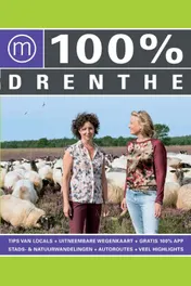 Omslag van 100% Drenthe