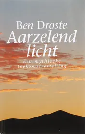 Omslag van Aarzelend licht