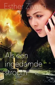 Omslag van Als een ingedamde stroom