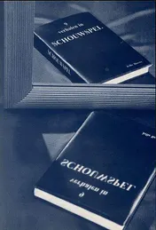 Omslag van Schouwspel