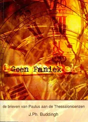 Omslag van Geen paniek