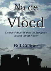 Omslag van Na de vloed