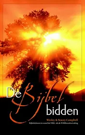 Omslag van De Bijbel bidden