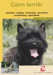 Omslag van Cairn terrier