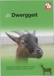 Omslag van De dwerggeit