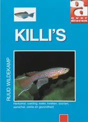 Omslag van Killi's