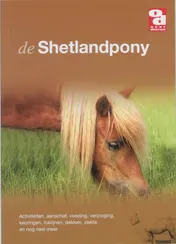 Omslag van De Shetlandpony