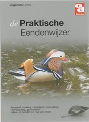 Omslag van De praktische eendenwijzer