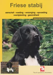 Omslag van De Friese stabij