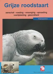 Omslag van De grijze roodstaartpapegaai