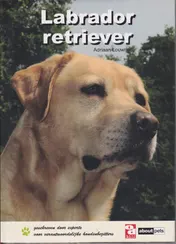 Omslag van Labrador retriever