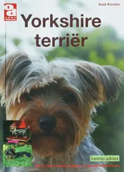 Omslag van Yorkshire terrier