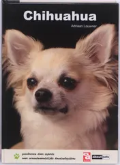 Omslag van Chihuahua