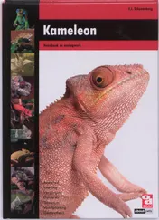 Omslag van Kameleon