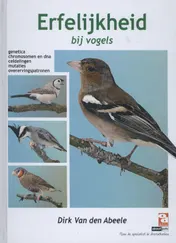 Omslag van Erfelijkheid bij vogels
