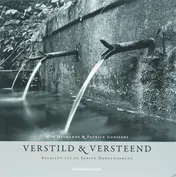 Omslag van Verstild en versteend = Weathered witness