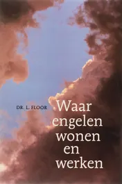 Omslag van Waar engelen wonen en werken