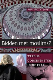 Omslag van Tussen hoed en hoofddoek