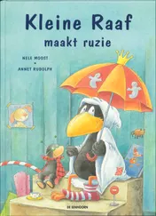 Omslag van Kleine Raaf maakt ruzie